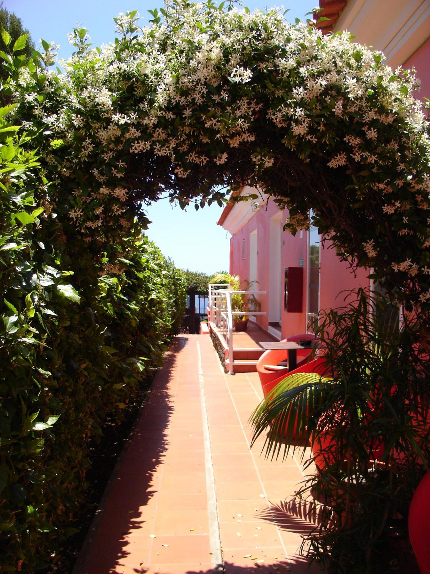 Inn & Art Madeira Canico  Ngoại thất bức ảnh